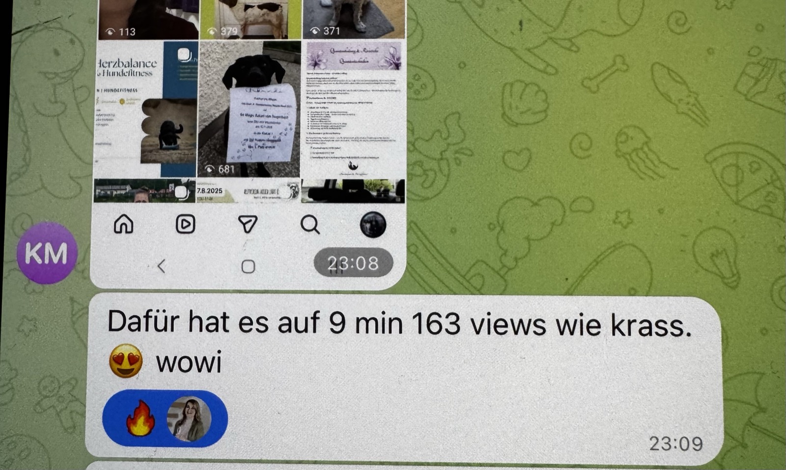 Feedback zu Instagram to GO