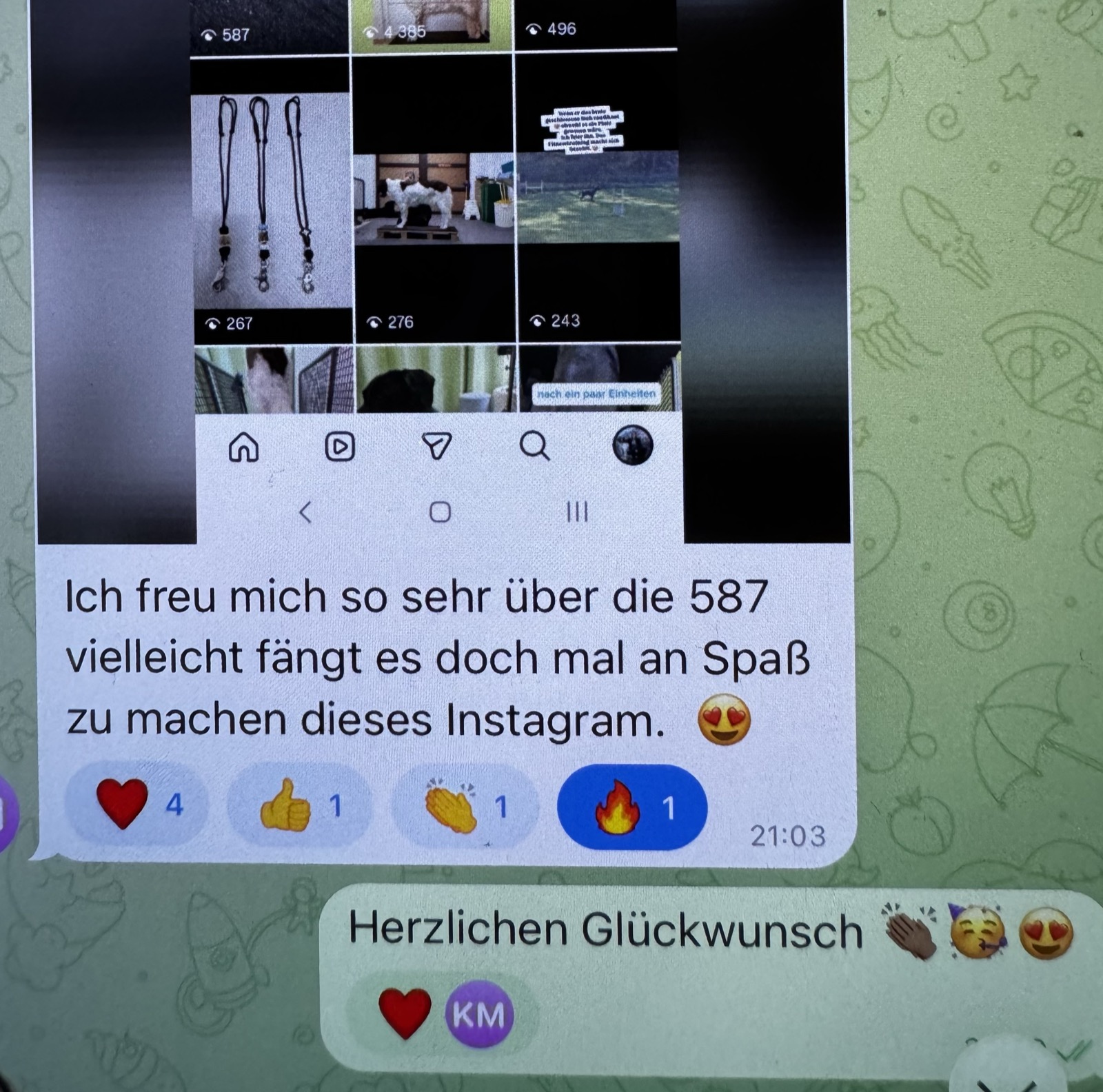 Feedback zu Instagram to GO