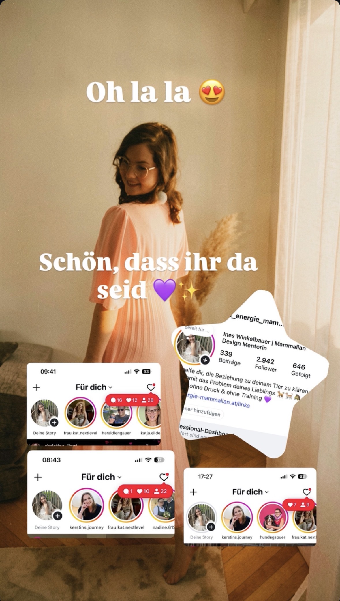 Feedback zu Wachse mit Testreels